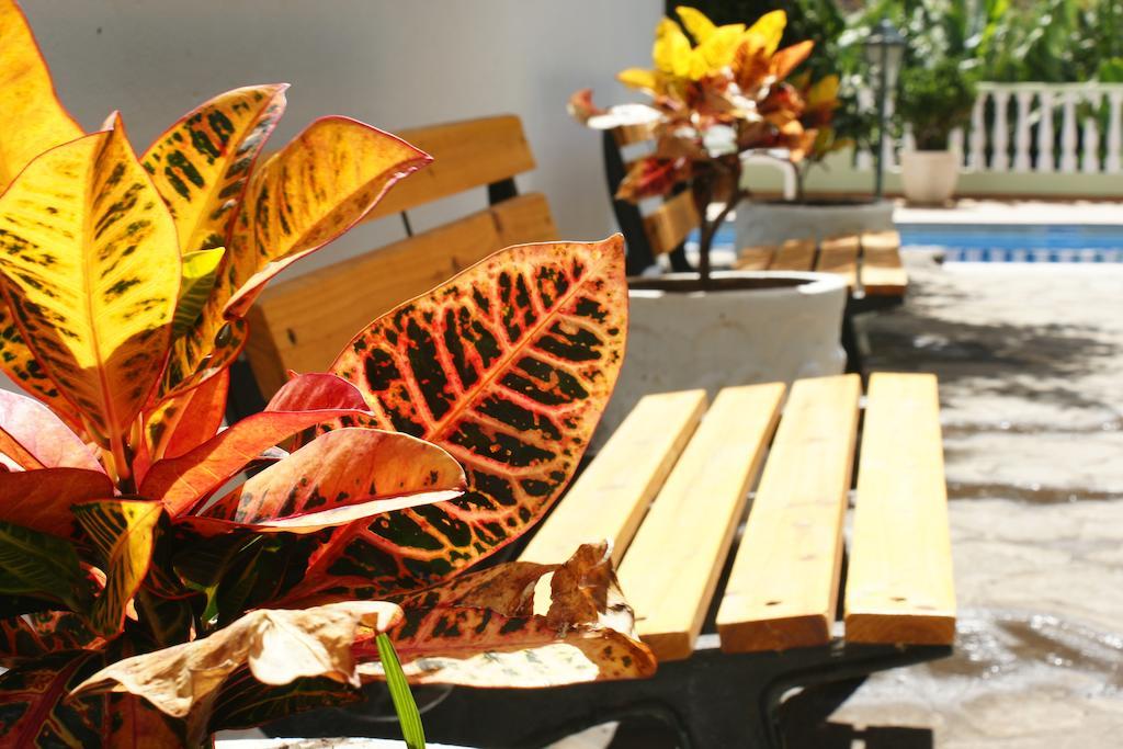 Apartamentos Nelly บาเญ กรันเรย์ ภายนอก รูปภาพ